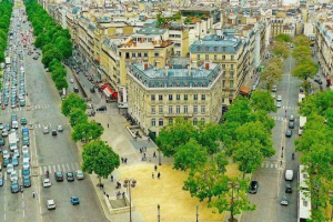 20 Korisna svojstva drveća